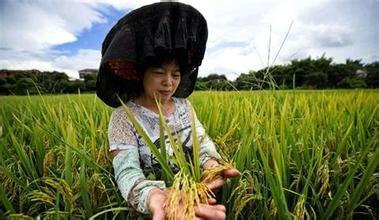 中央密切關注精準扶貧 易地搬遷進入十三五規(guī)劃