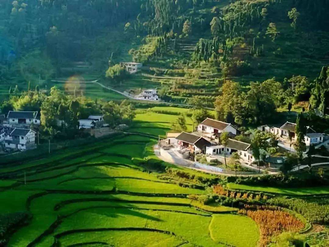 廣西國家現代農業(yè)產業(yè)園創(chuàng)建（2022年國家現代農業(yè)產業(yè)園申報）